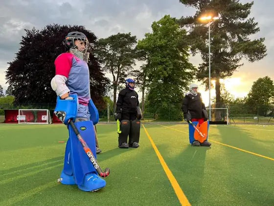 a beautiful sunset whilst the keepers listen to the coach